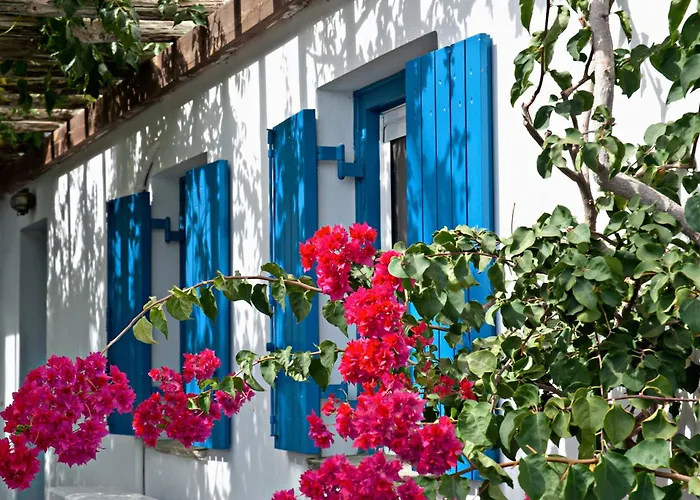 Porto Kalma 아파트 아기오스 이오니스